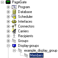 dg dg