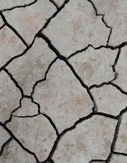 What Apps Send Earthquake Alerts?