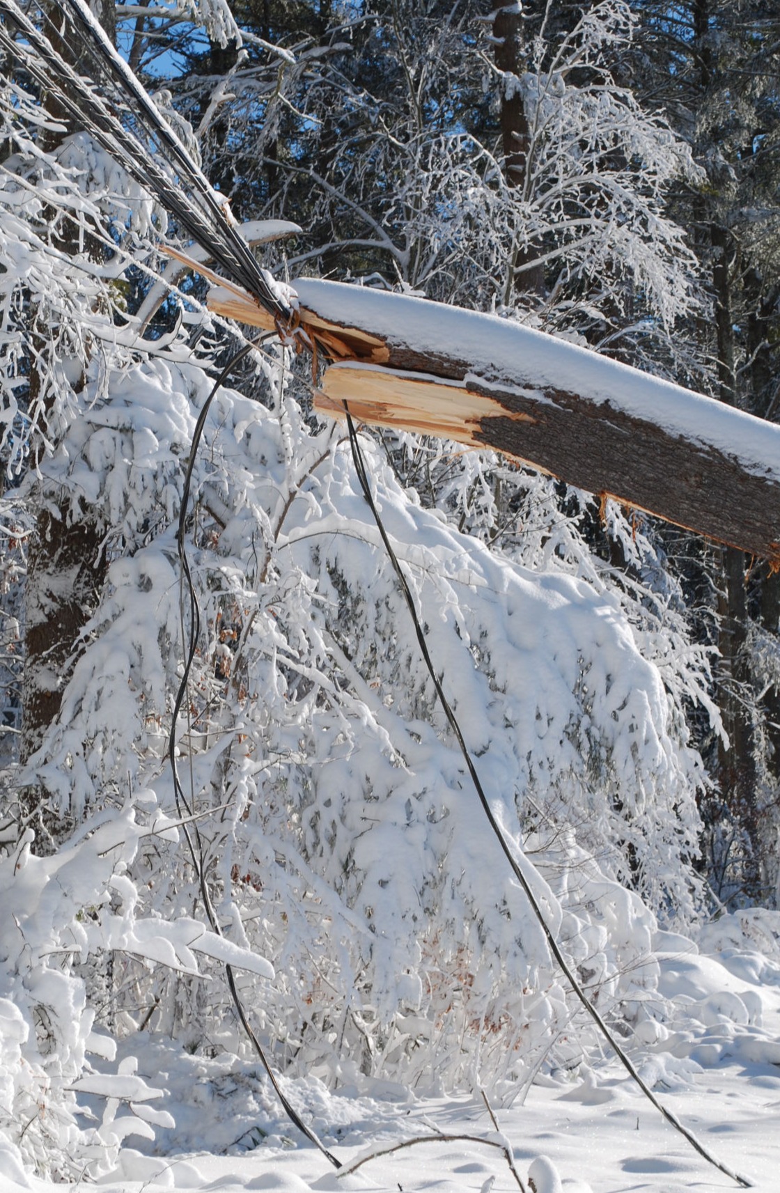 Power Outage Notifications